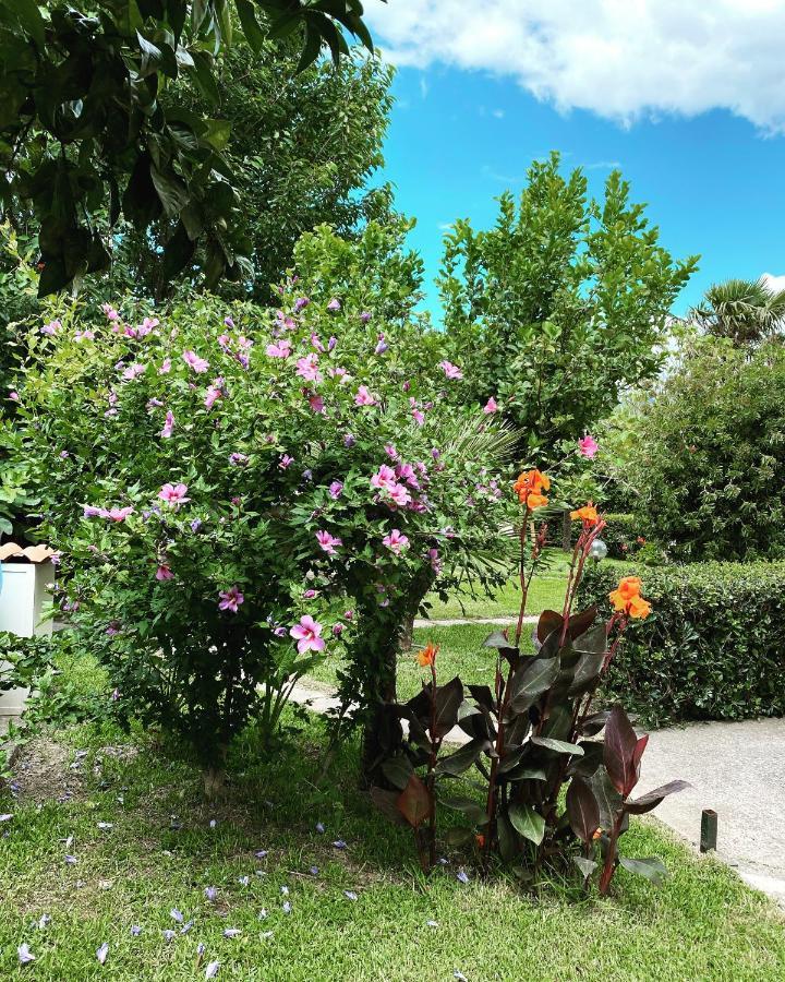 B&B Villa Dei Fiori Сант'Юфімія Ламеція Екстер'єр фото